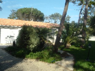 Photo N2: Casa ferias Ile-de-R Sainte-Marie-de-R Charente Maritime (17) FRANCE 17-4814-1