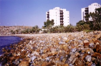 Photo N1: Casa ferias Playa-del-Mojon Cartagena Murcia ESPAGNE es-5244-3