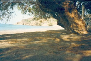 Photo N8: Casa ferias Limnos-Beach Ile-de-Chios les mer Ege GRECE gr-3337-3