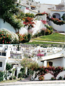 Photo N2: Casa ferias Nerja Malaga Costa del Sol (Andalousie) ESPAGNE es-5719-4
