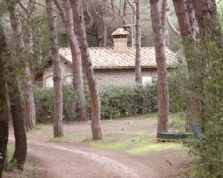 Photo N2: Casa ferias Marina-di-Bibbona Pise Toscane - Florence ITALIE IT-6177-1