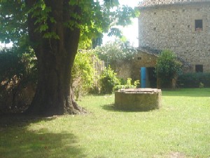 Photo N3: Casa ferias Isle-sur-la-Sorgue Avignon Vaucluse (84) FRANCE 84-6979-1