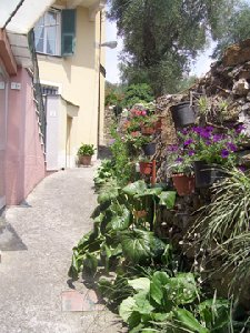 Photo N1: Casa ferias Chiavari Genes Ligurie - Gnes ITALIE it-7902-1