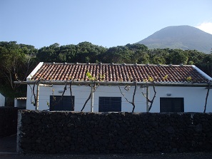 Photo N1: Casa ferias Madalena Ile-de-Pico Aores PORTUGAL pt-8493-1