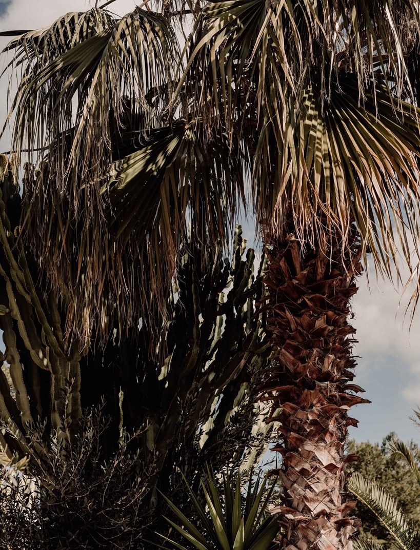 Casacook Destination Ibiza ( )