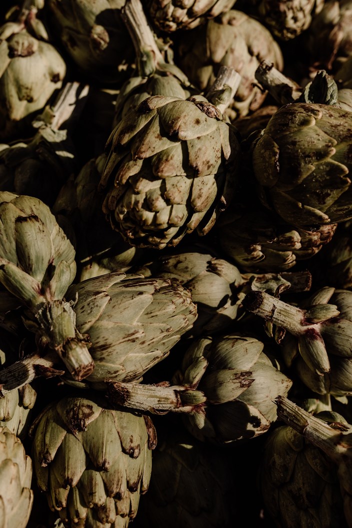 Casacook Destination Mallorca Soller Market