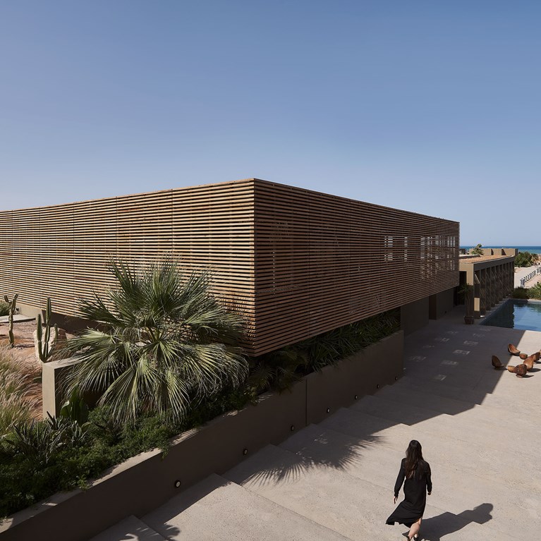 Drz Casa Cook Elgouna 3487 Copy