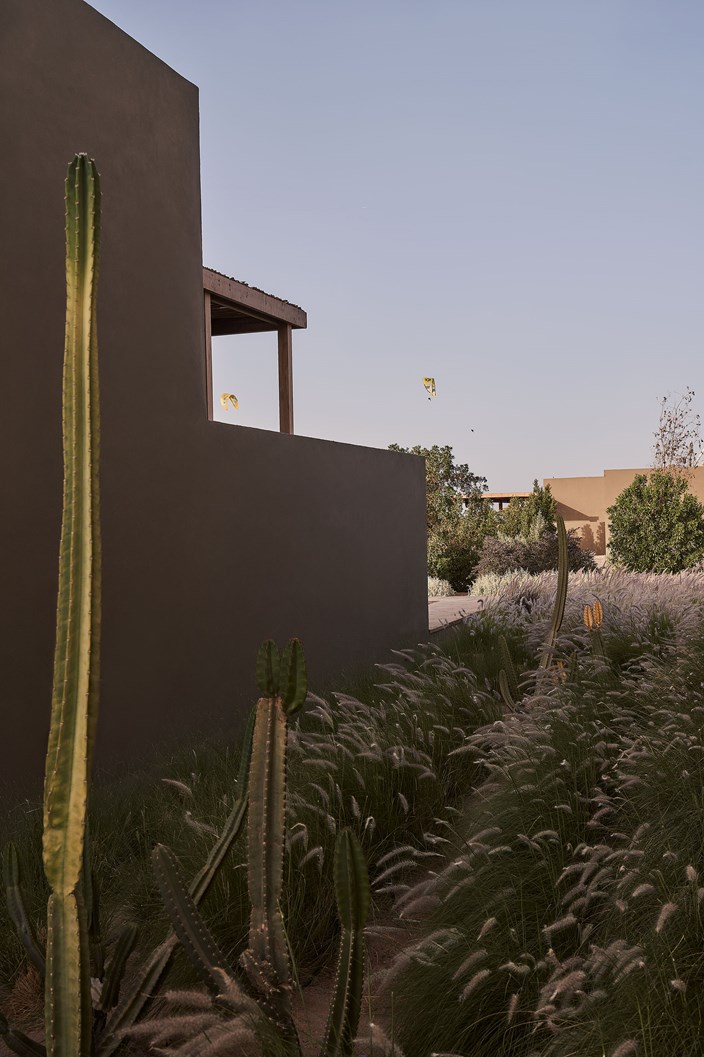 Drz Casa Cook Elgouna 