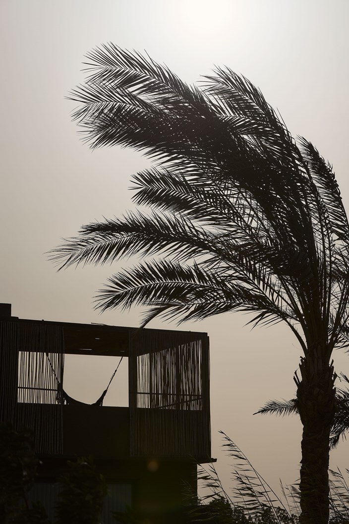 Drz Casa Cook Elgouna 