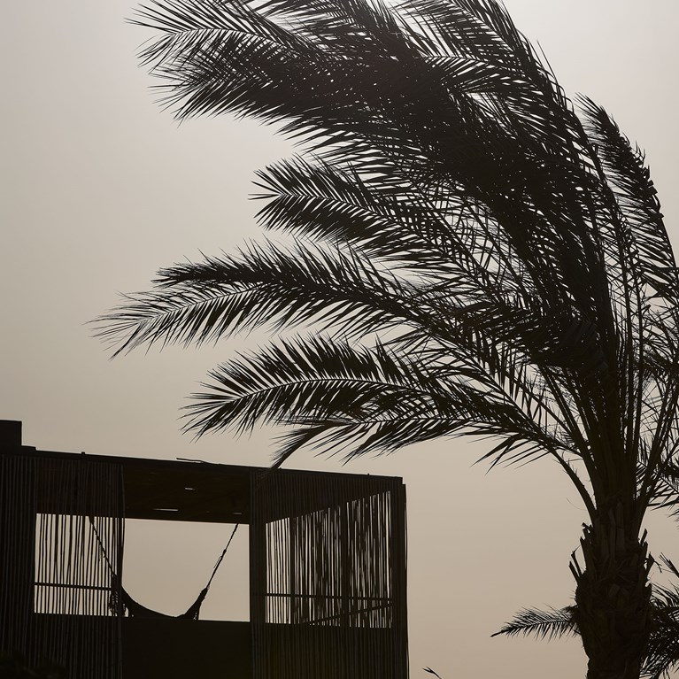 Drz Casa Cook Elgouna 35895